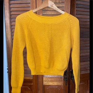 Dandelion Cropped Knit Sweater